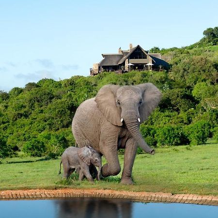 Hopewell Private Game Reserve Buyskloof Eksteriør bilde