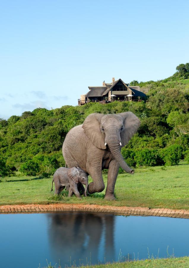 Hopewell Private Game Reserve Buyskloof Eksteriør bilde